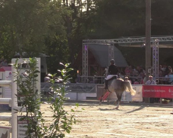 Reitturnier Olfen-Vinnum 2017