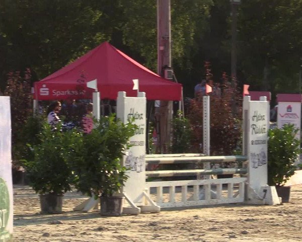 Reitturnier Olfen-Vinnum 2017