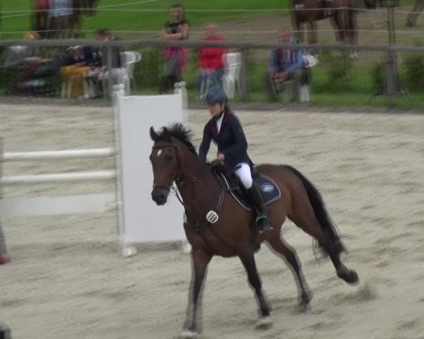Reitturnier Monschau-Mützenich 2017