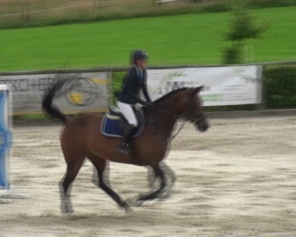 Reitturnier Monschau-Mützenich 2017