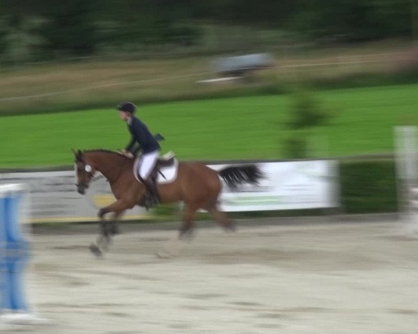 Reitturnier Monschau-Mützenich 2017