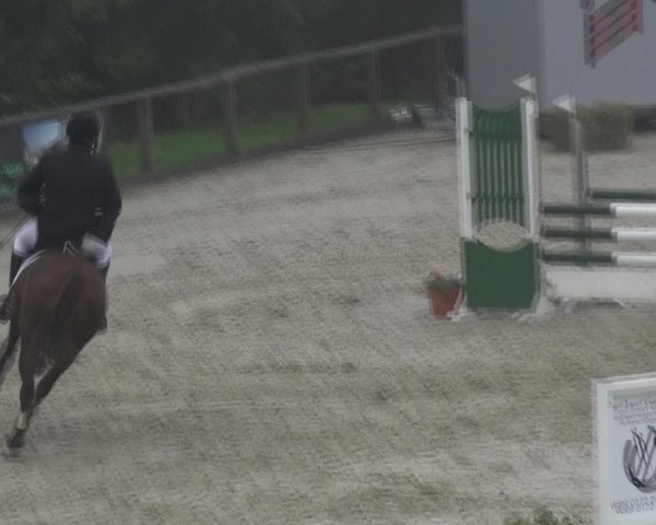 Reitturnier Monschau-Mützenich 2017