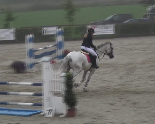 Reitturnier Monschau-Mützenich 2017