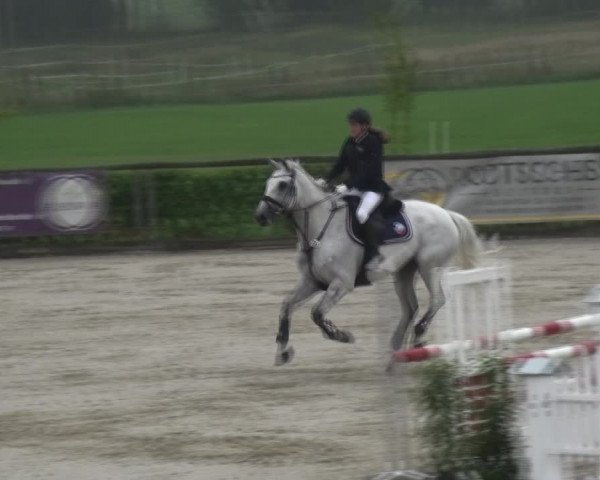 Reitturnier Monschau-Mützenich 2017