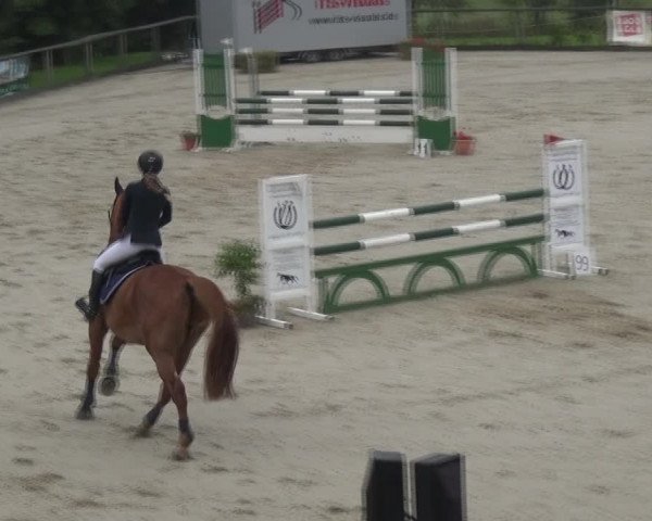 Reitturnier Monschau-Mützenich 2017