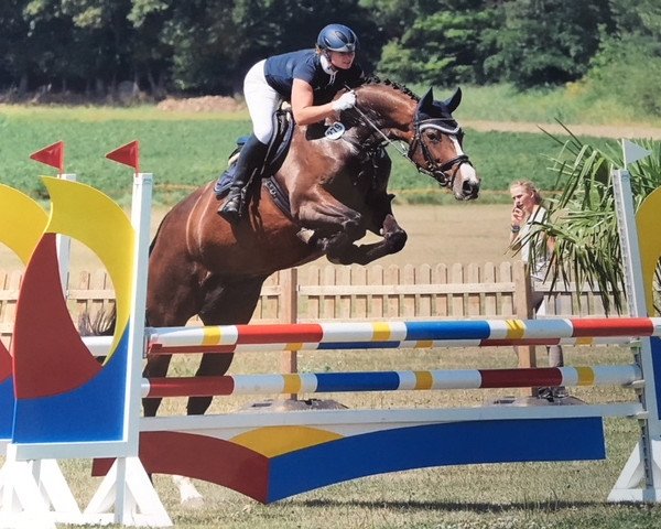 broodmare Cyperia (Holsteiner, 2010, from Canto)