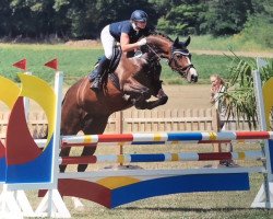 broodmare Cyperia (Holsteiner, 2010, from Canto)