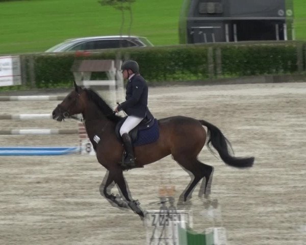 Reitturnier Monschau-Mützenich 2017