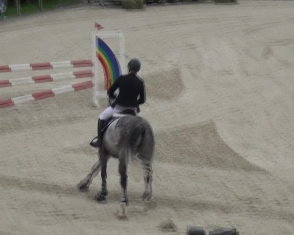 Reitturnier Monschau-Mützenich 2017