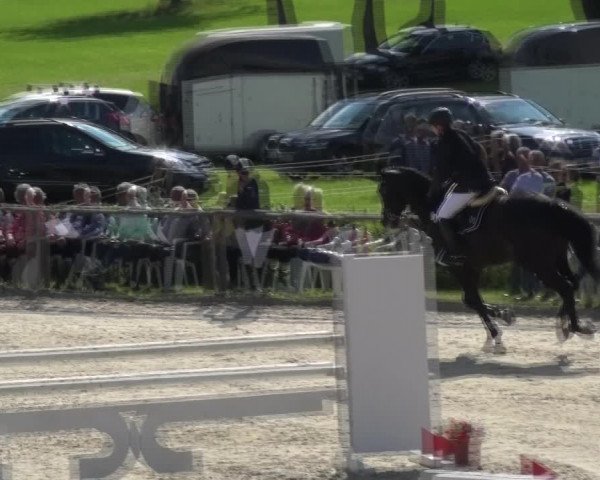 Reitturnier Monschau-Mützenich 2017