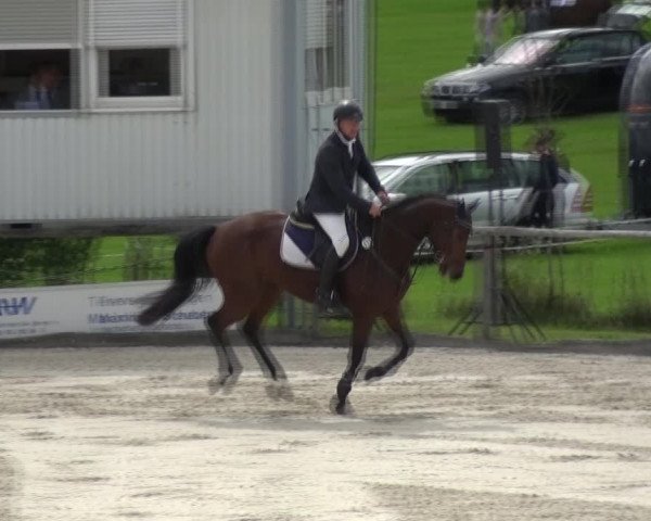 Reitturnier Monschau-Mützenich 2017