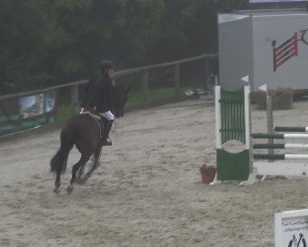 Reitturnier Monschau-Mützenich 2017