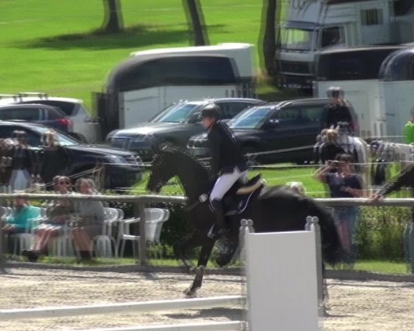 Reitturnier Monschau-Mützenich 2017