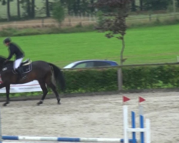 Reitturnier Monschau-Mützenich 2017