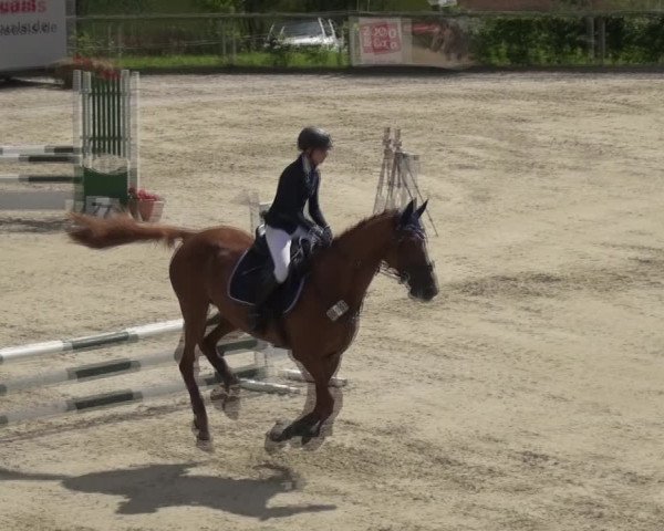 Reitturnier Monschau-Mützenich 2017
