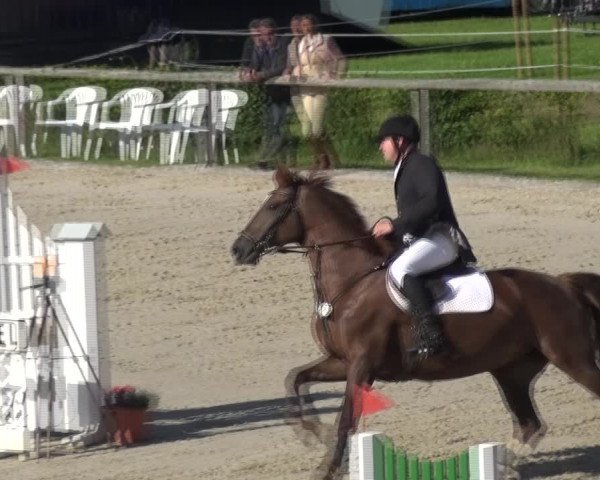 Reitturnier Monschau-Mützenich 2017