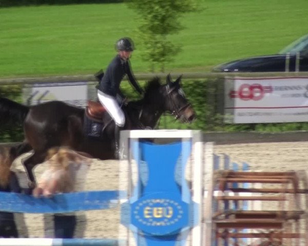 Reitturnier Monschau-Mützenich 2017