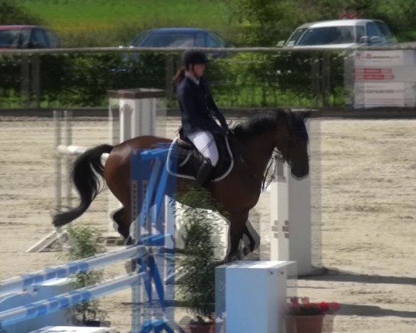 Reitturnier Monschau-Mützenich 2017