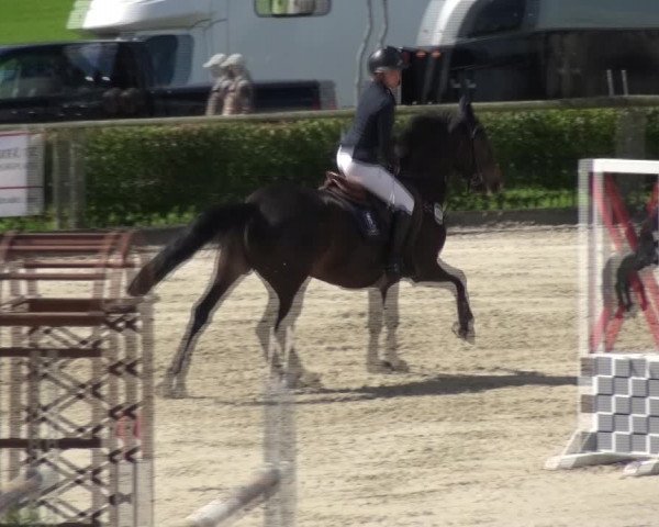 Reitturnier Monschau-Mützenich 2017