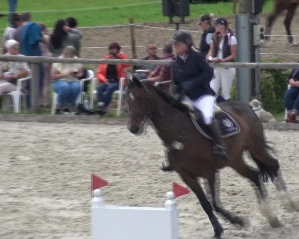 Reitturnier Monschau-Mützenich 2017