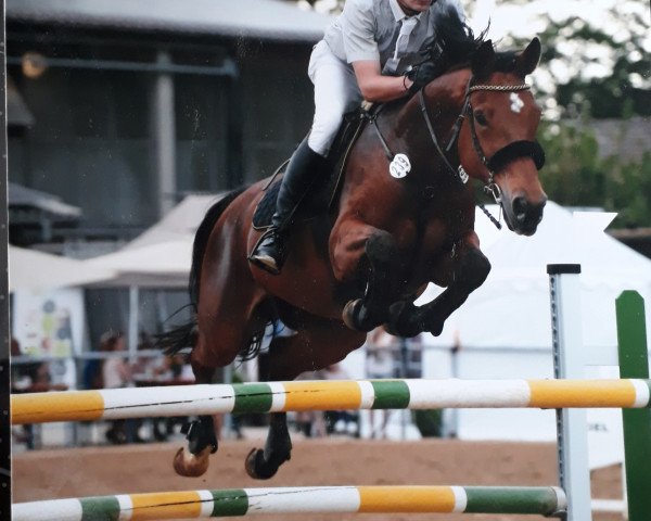 jumper Liroy M (Württemberger, 2008, from Lallier U)