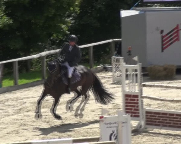 Reitturnier Monschau-Mützenich 2017