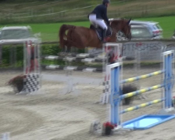 Reitturnier Monschau-Mützenich 2017