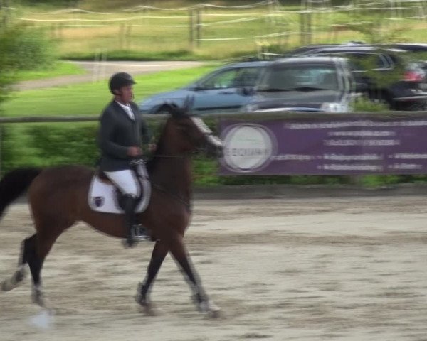 Reitturnier Monschau-Mützenich 2017