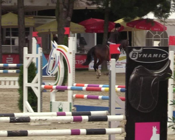 Reitturnier Waltrop 2017