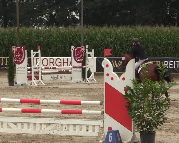 Reitturnier Waltrop 2017