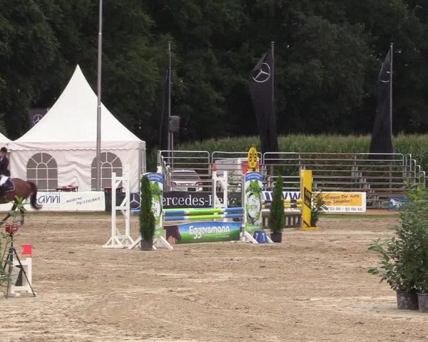Reitturnier Waltrop 2017