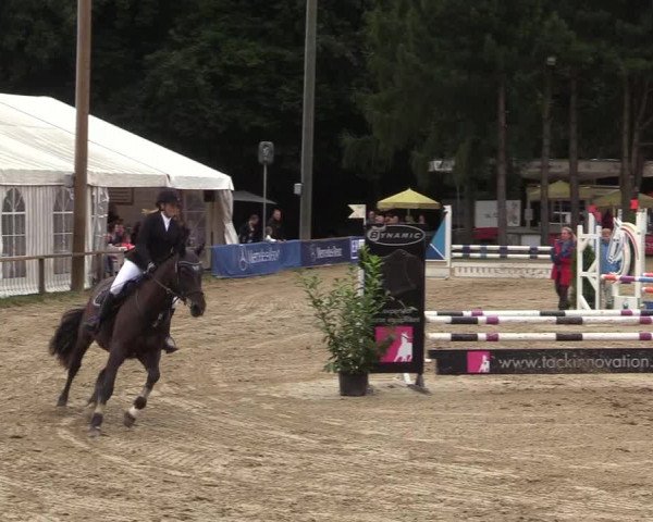Reitturnier Waltrop 2017
