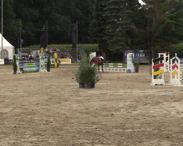 Reitturnier Waltrop 2017