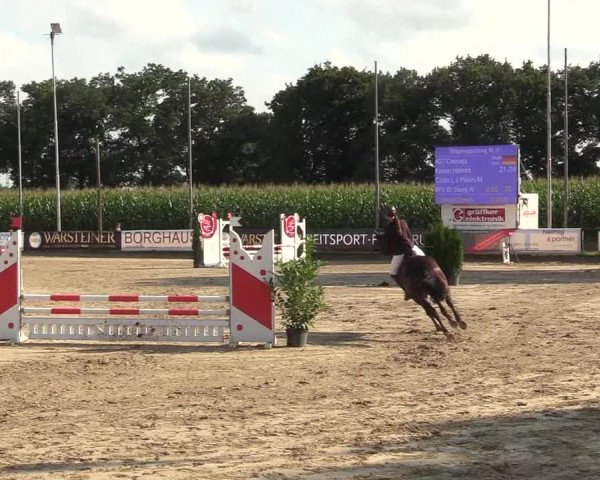 Reitturnier Waltrop 2017