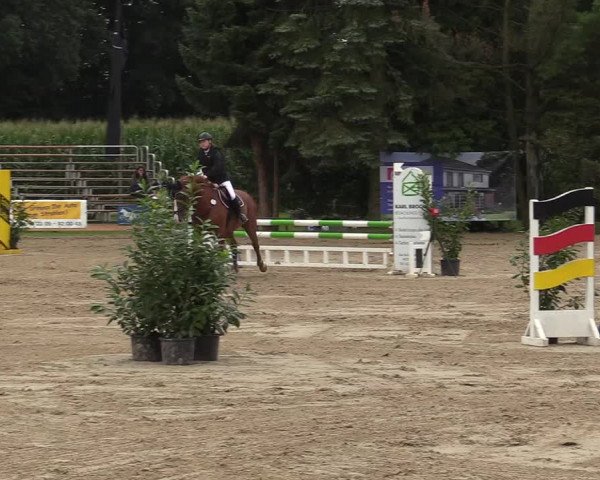 Reitturnier Waltrop 2017