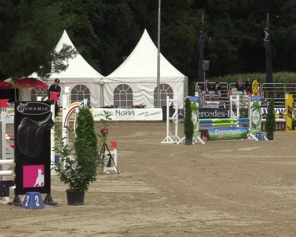 Reitturnier Waltrop 2017