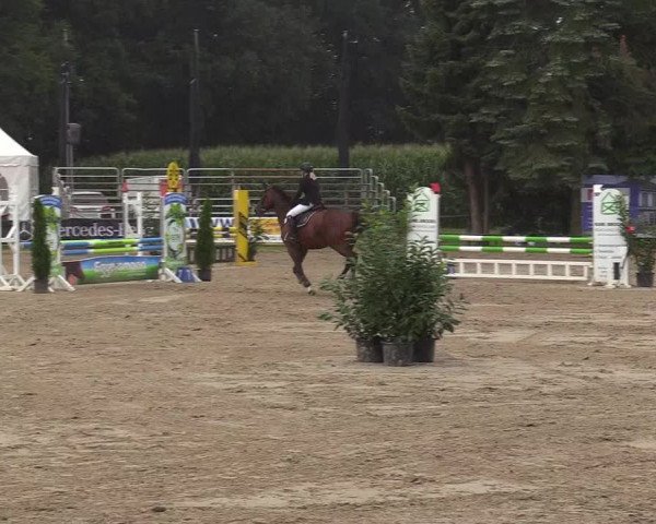 Reitturnier Waltrop 2017