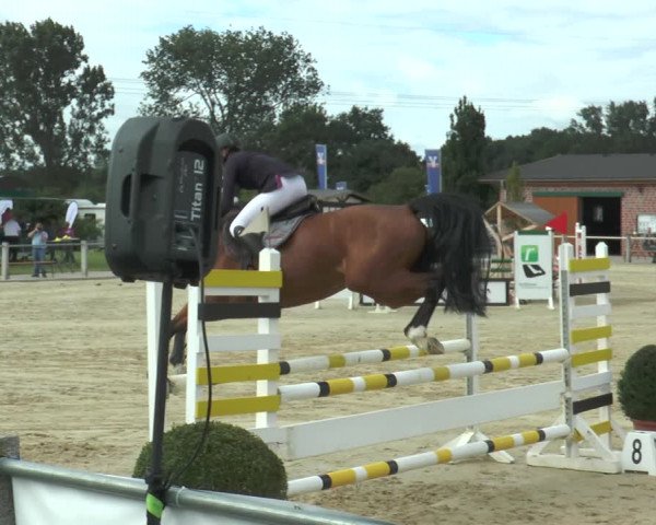 Reitturnier Ennigerloh-Neubeckum 2017