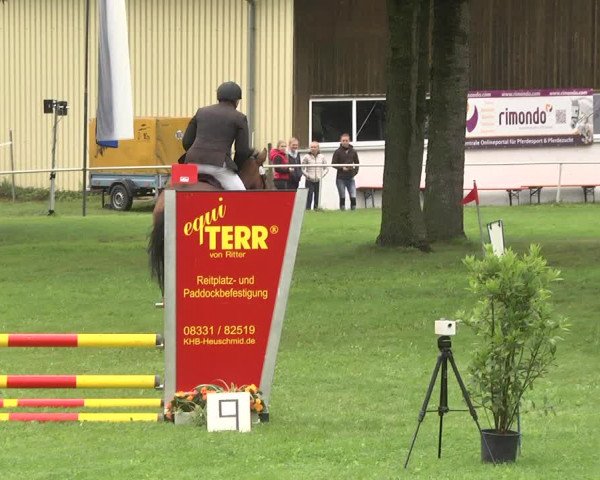 Reitturnier Memmingen 2017