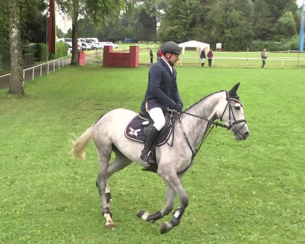 Reitturnier Memmingen 2017