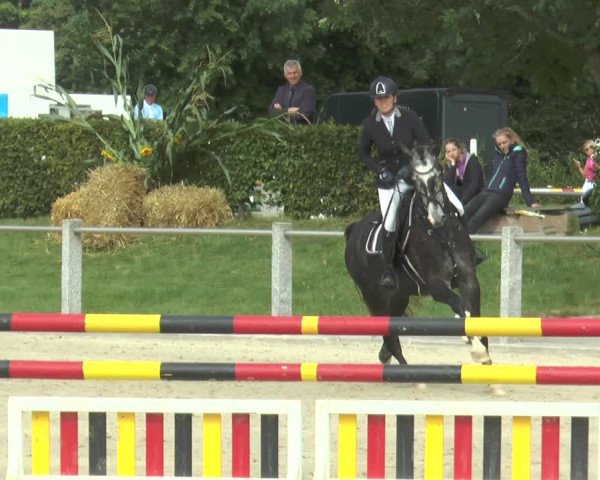 Reitturnier Ennigerloh-Neubeckum 2017
