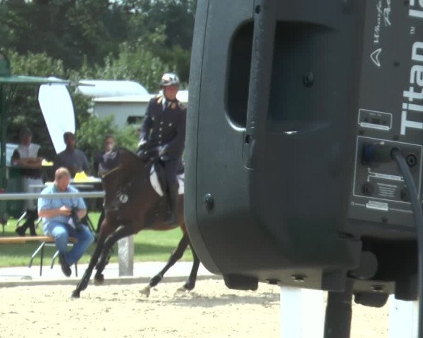 Reitturnier Ennigerloh-Neubeckum 2017