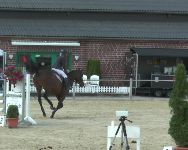 Reitturnier Ennigerloh-Neubeckum 2017
