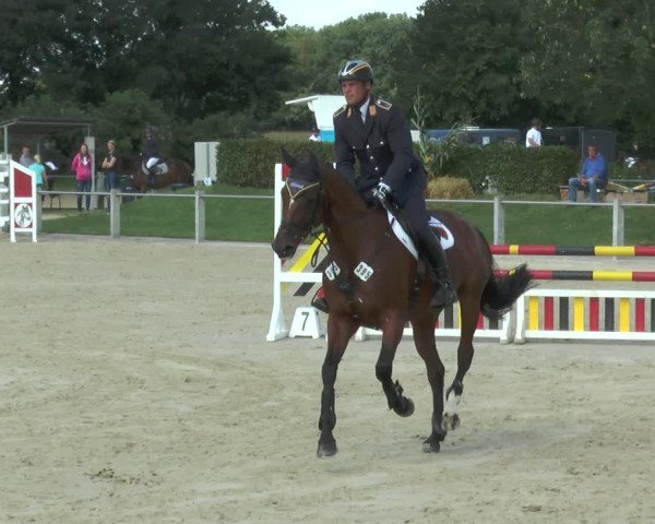 Reitturnier Ennigerloh-Neubeckum 2017