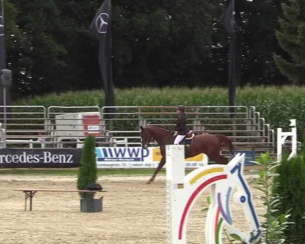 Reitturnier Waltrop 2017