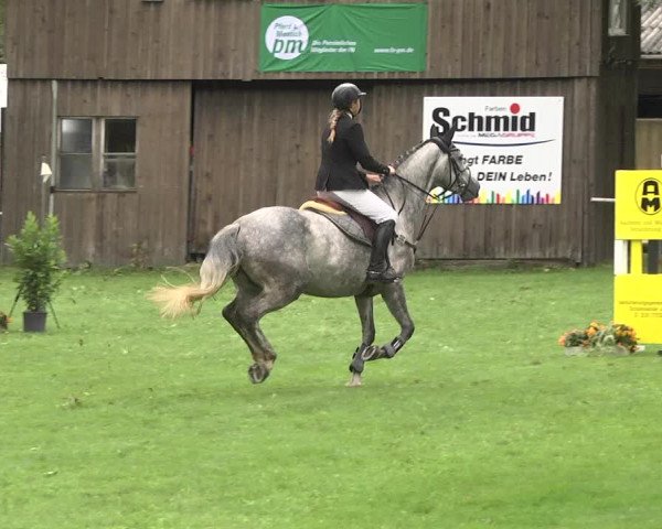 Reitturnier Memmingen 2017