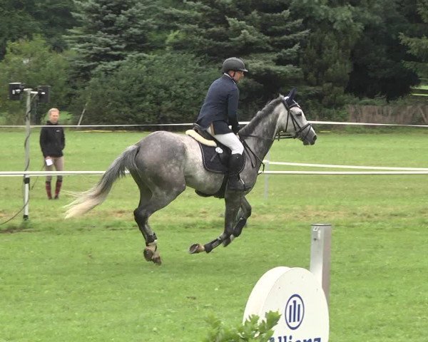 Reitturnier Memmingen 2017