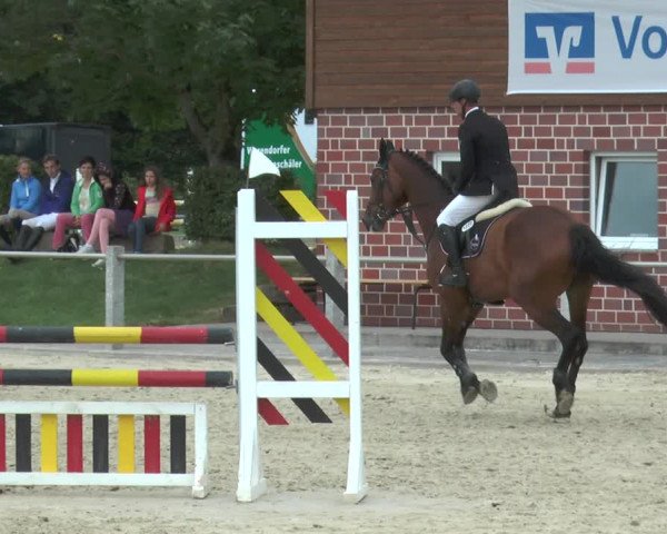 Reitturnier Ennigerloh-Neubeckum 2017