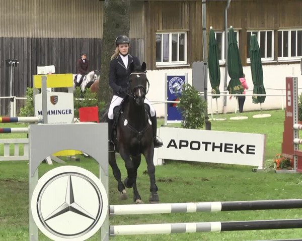 Reitturnier Memmingen 2017