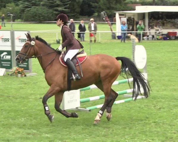Reitturnier Memmingen 2017
